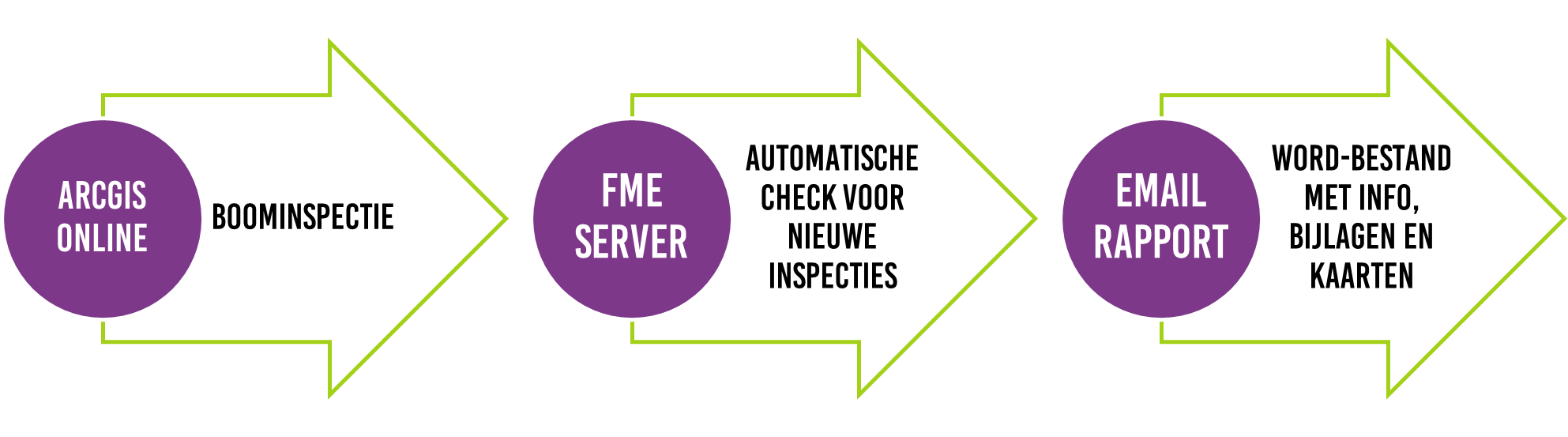 Word-rapportages-proces